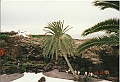 Lanzarote1997-050